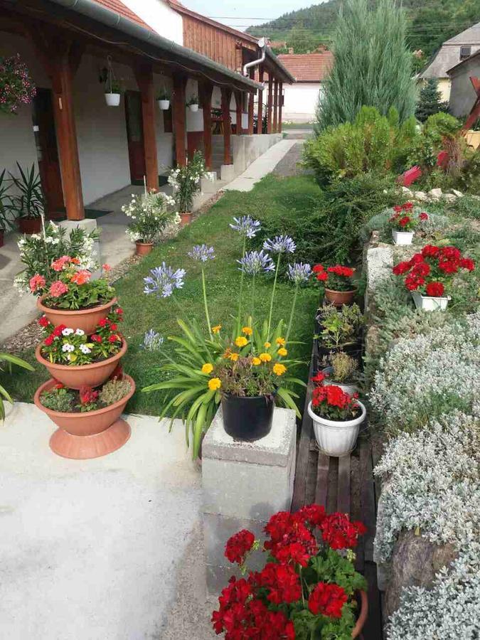 Sator-Hegy Vendeghaz Hotel Abaújszántó Exterior foto